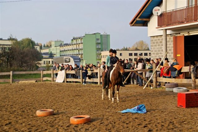 Hubertus 2009